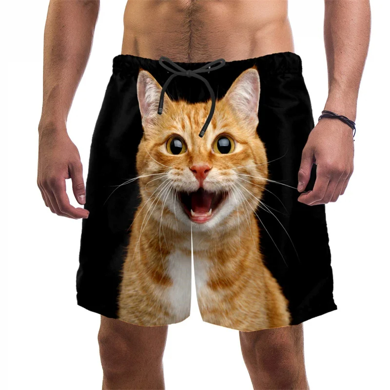 Short de plage imprimé chat dr - Trunks Board Surf avis et prix
