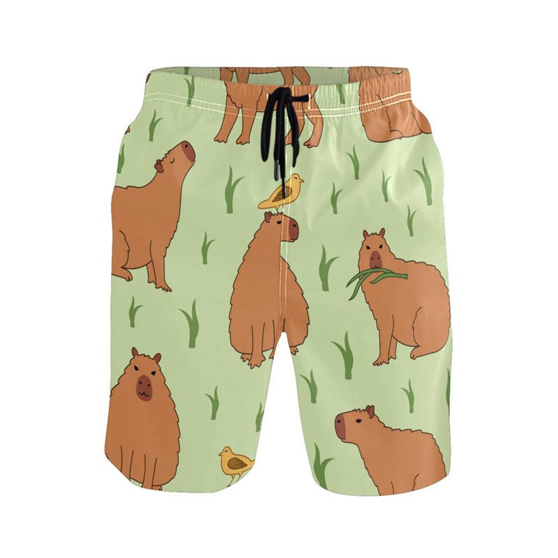 Capybara-Shorts de plage à séc - Trunks Board Surf avis et prix
